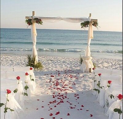 2000/1000pcs Multi Colors Silk Flower Rose Artificial Petals Wedding Decorations